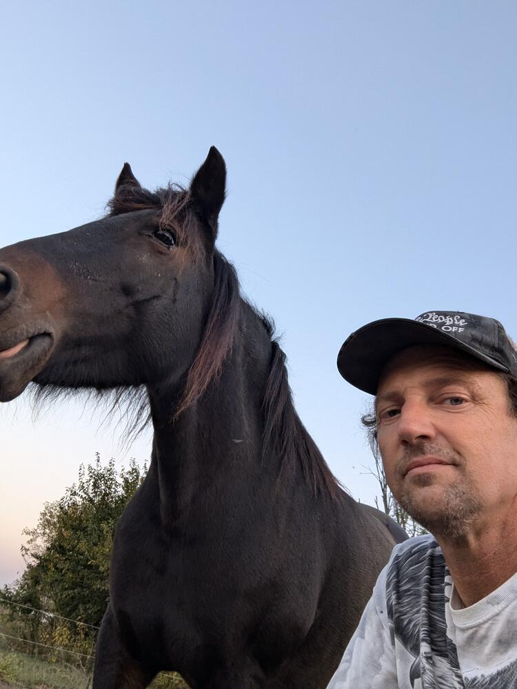 Evenings with the horses